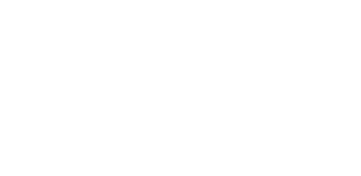 icon software